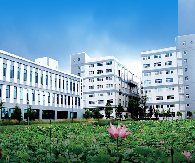 高標準廠房 多種規格