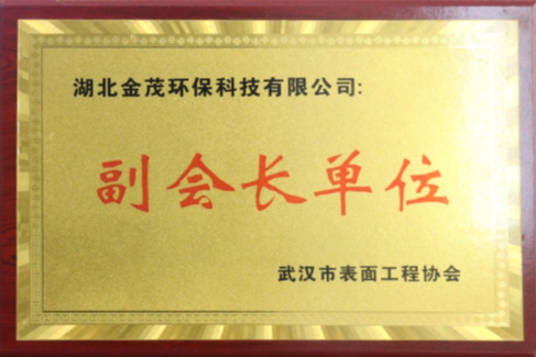 武漢市表面工程協會副會長單位